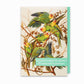 Audubon's Birds of America - Notecard pack