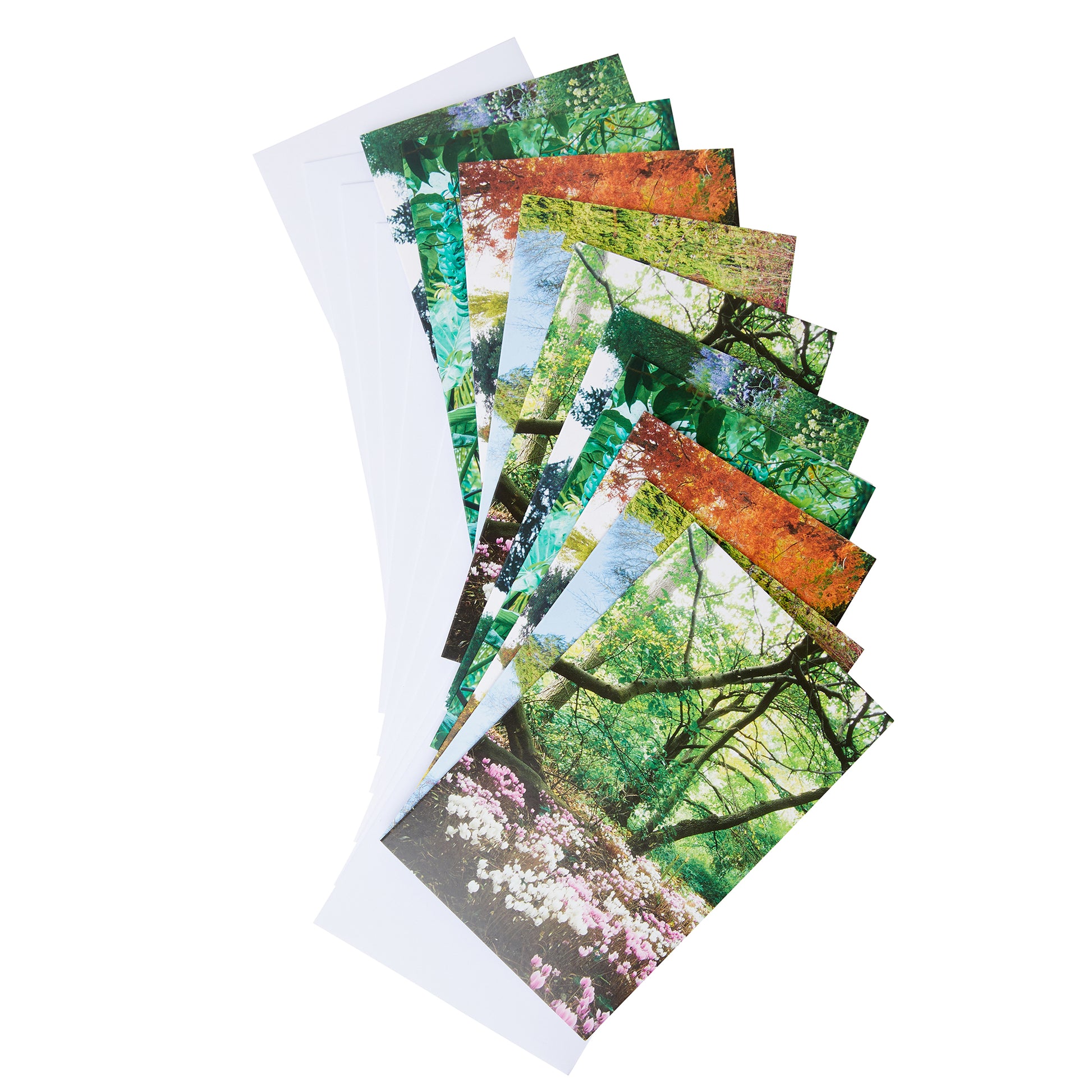 Cards from Cambridge University Botanic Garden notecard pack