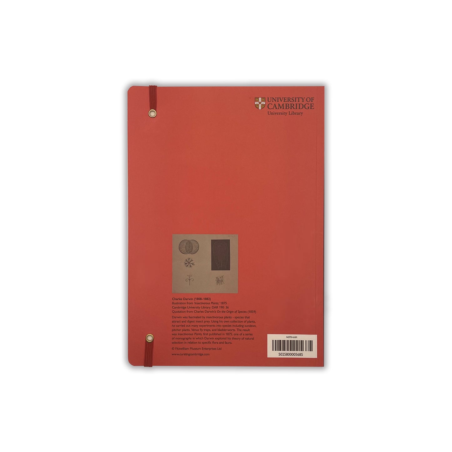 A5 journal - back cover. Coral background with Cambridge University Library logo. 