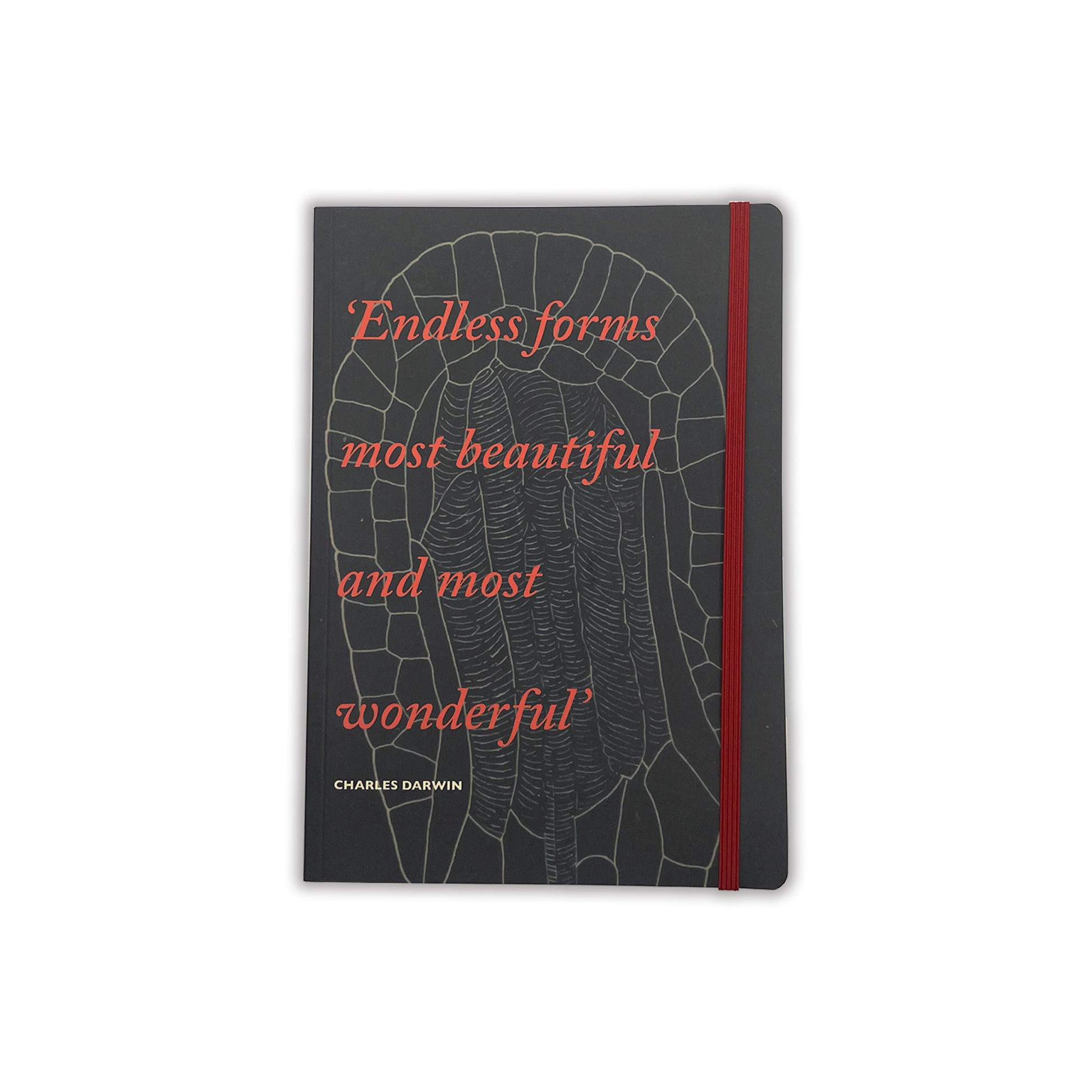 A5 journal, front cover. Dark green with quote in coral italic writing: 'Endless forms most beautiful and most wonderful.' Red elastic closure strap. 