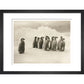Young Emperor penguin chicks - Art print