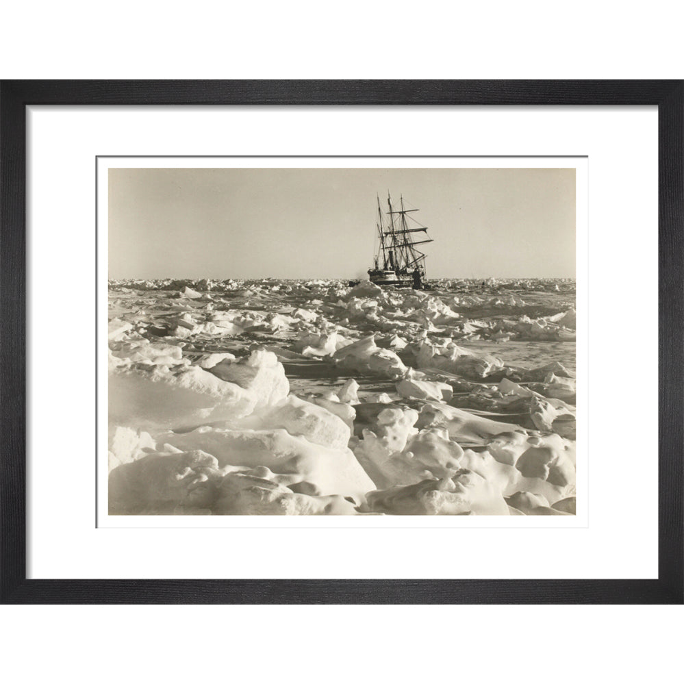 'Endurance' fast in the sea of ice - Art print