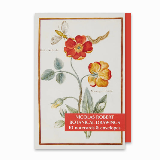 Nicolas Robert Botanical Drawings - Notecard pack