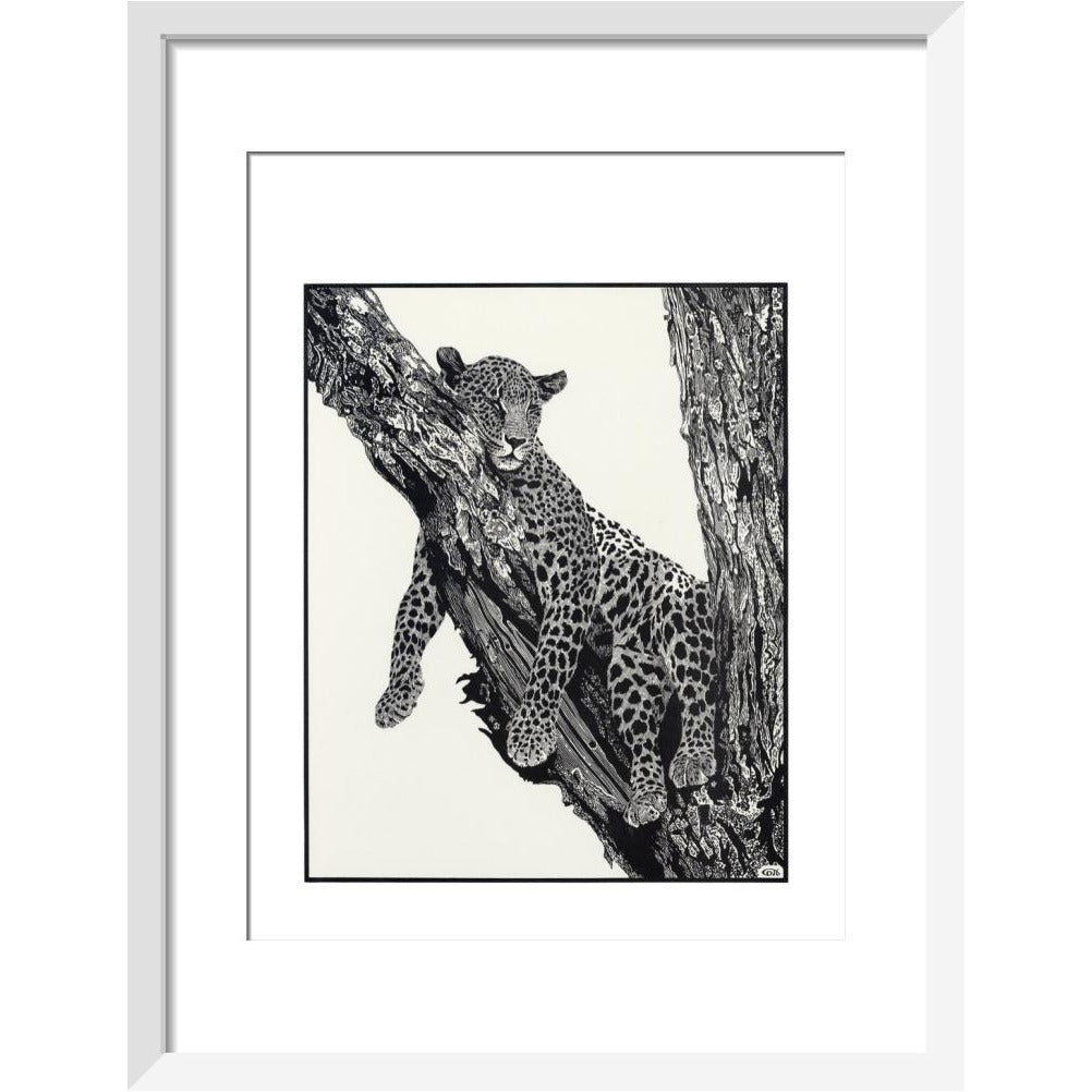 Sleeping Leopard - art print
