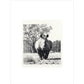 White Rhinoceros Advancing - art print