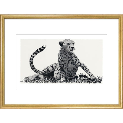 Cheetah Rising - art print