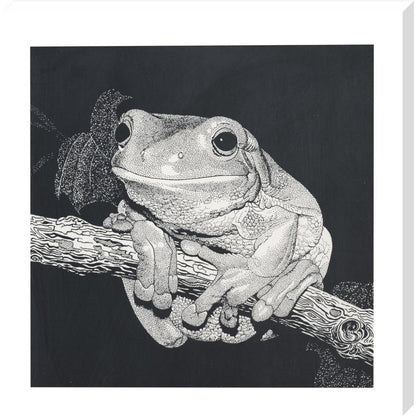 Green Tree Frog - art print