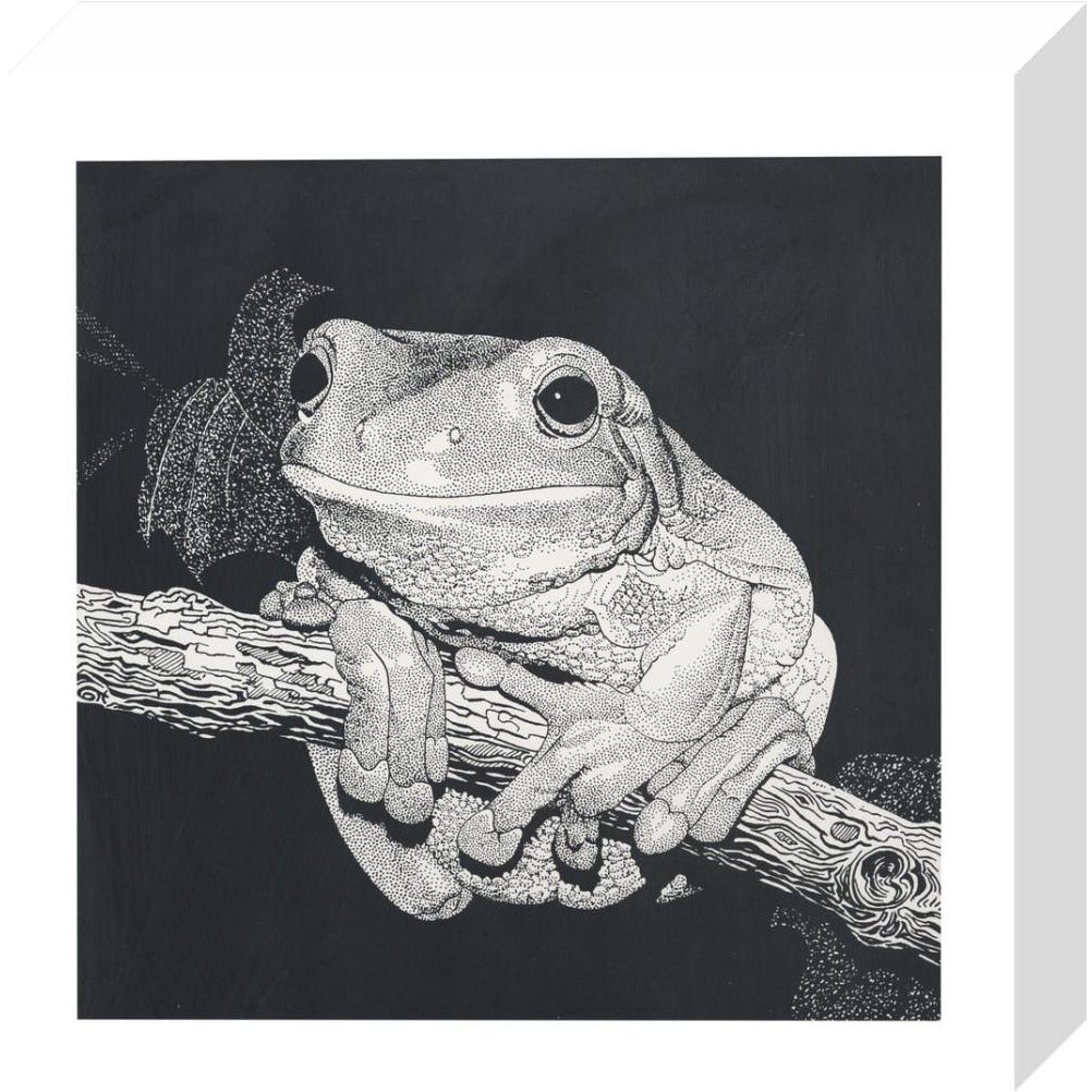 Green Tree Frog - art print