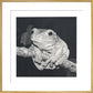 Green Tree Frog - art print