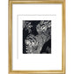 Large Spotted Genet - art print