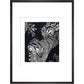 Large Spotted Genet - art print