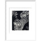 Large Spotted Genet - art print