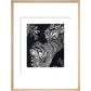 Large Spotted Genet - art print