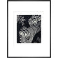 Large Spotted Genet - art print