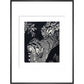 Large Spotted Genet - art print