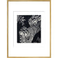 Large Spotted Genet - art print