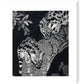 Large Spotted Genet - art print