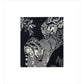 Large Spotted Genet - art print