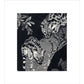 Large Spotted Genet - art print