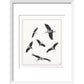 Marabou Sailing - art print