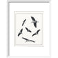 Marabou Sailing - art print