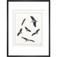 Marabou Sailing - art print
