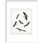 Marabou Sailing - art print