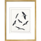 Marabou Sailing - art print