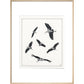 Marabou Sailing - art print