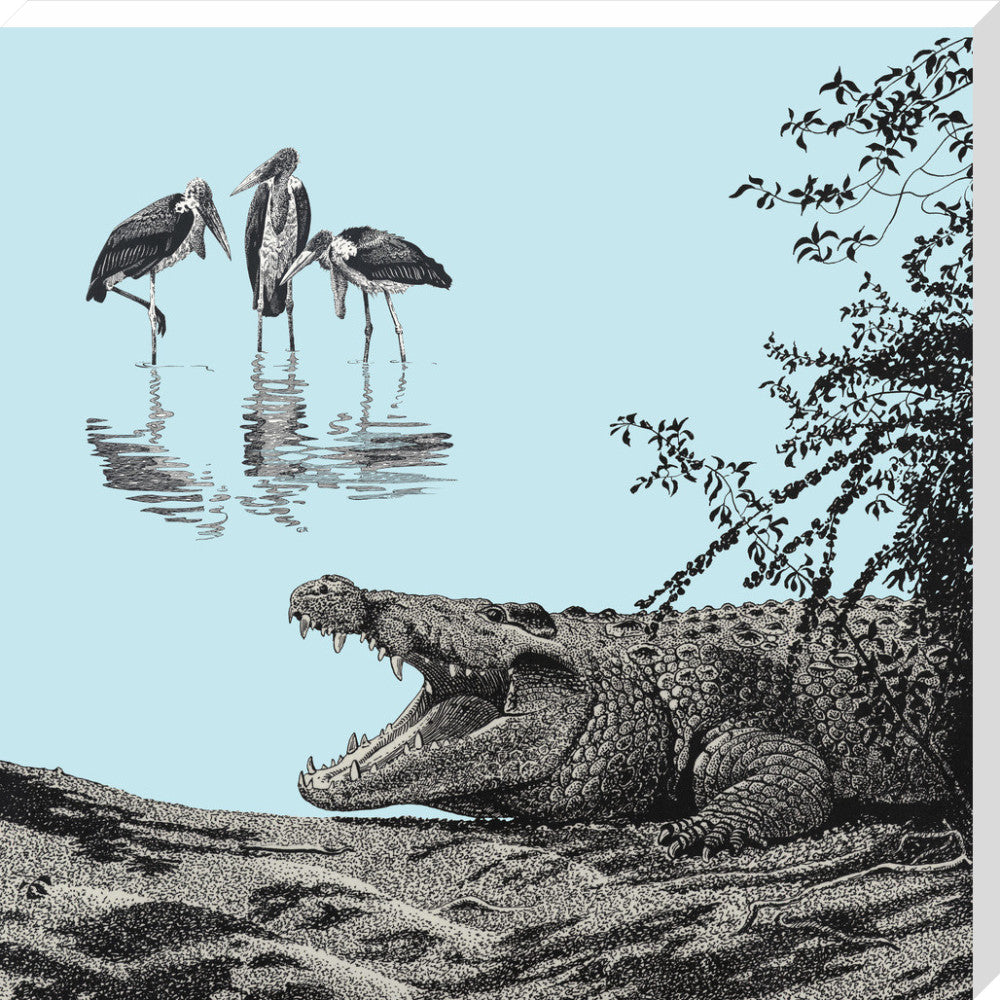 Crocodile and Marabou - art print