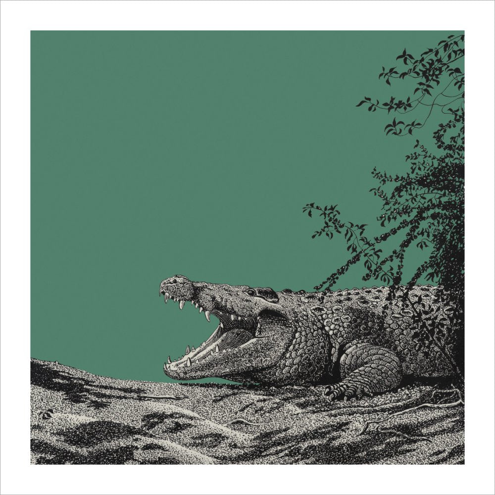 Bull Crocodile on Green - art print