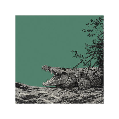 Bull Crocodile on Green - art print