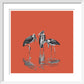 Marabou Storks - art print