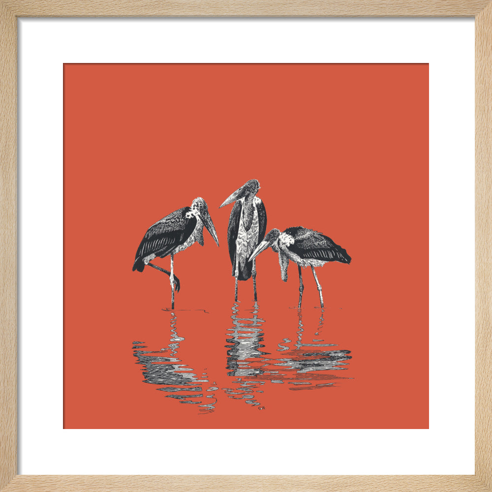 Marabou Storks - art print