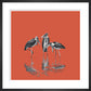 Marabou Storks - art print