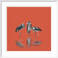Marabou Storks - art print