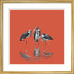 Marabou Storks - art print