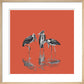Marabou Storks - art print