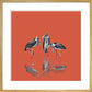 Marabou Storks - art print