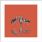 Marabou Storks - art print