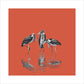 Marabou Storks - art print