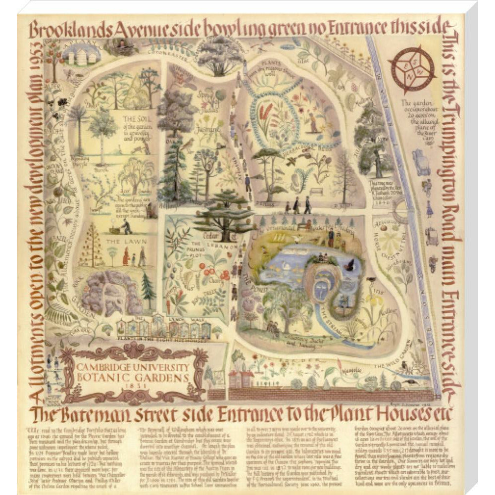 Map of Cambridge University Botanic Garden - Art print