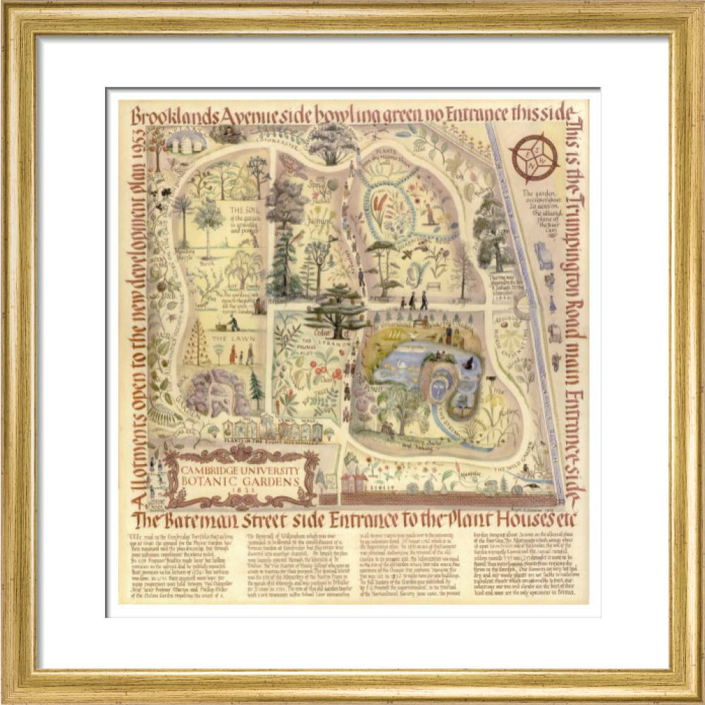 Map of Cambridge University Botanic Garden - Art print