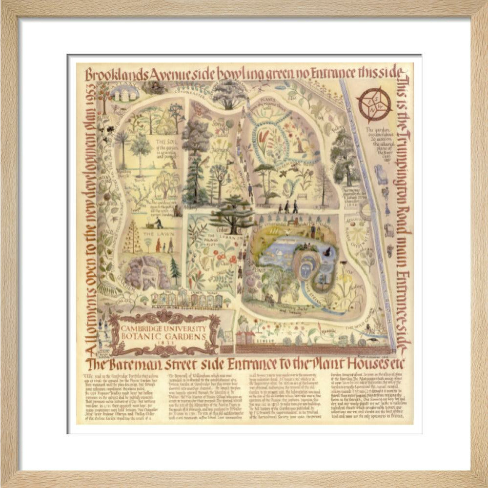 Map of Cambridge University Botanic Garden - Art print