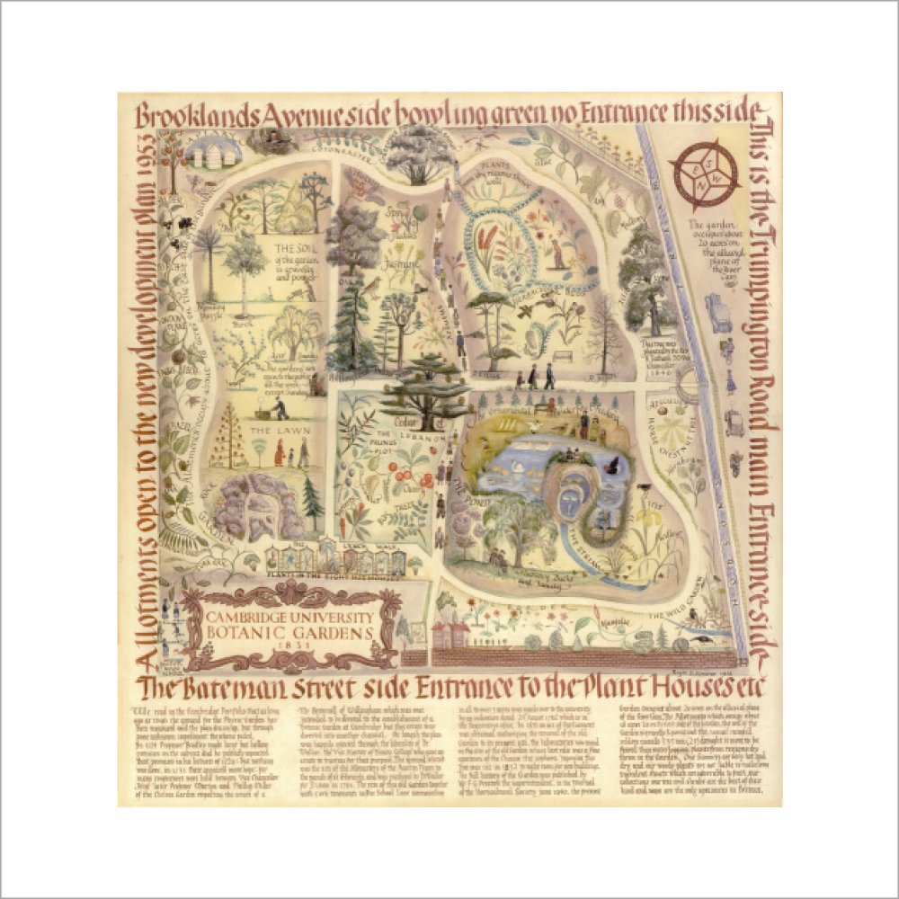 Map of Cambridge University Botanic Garden - Art print