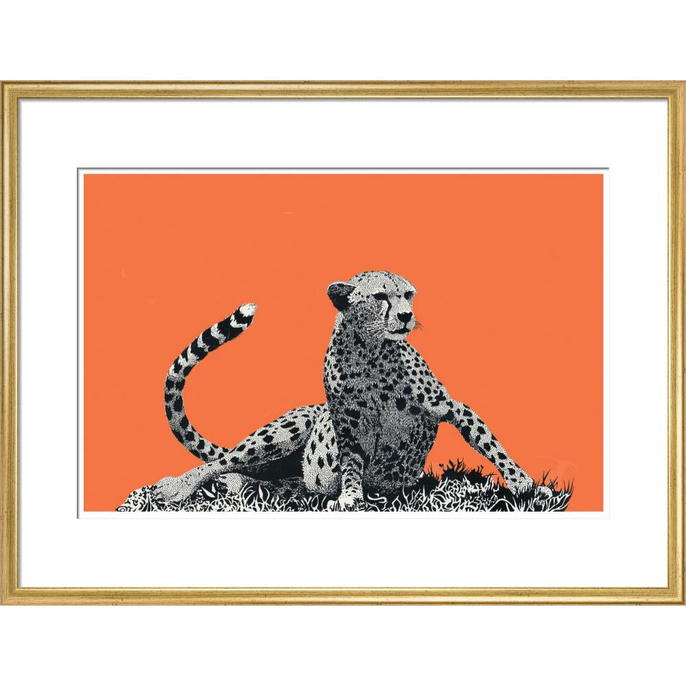 Cheetah Rising, on Coral - Art Print