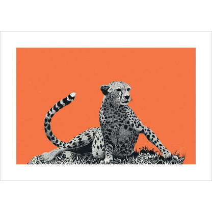 Cheetah Rising, on Coral - Art Print