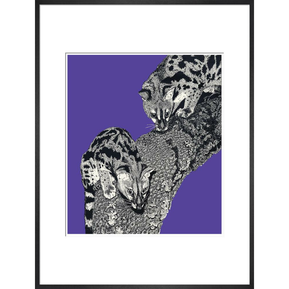 Large Spotted Genet on Purple - Art print