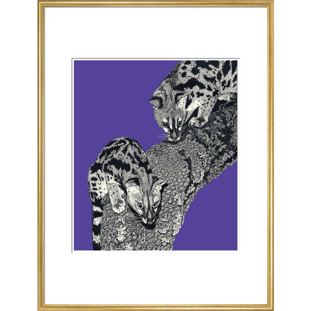 Large Spotted Genet on Purple - Art print