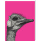 Ostrich on Pink - Art print
